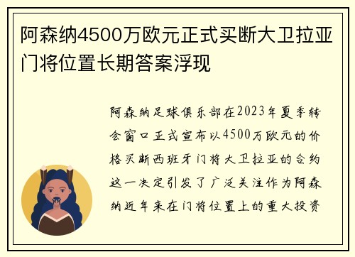 阿森纳4500万欧元正式买断大卫拉亚门将位置长期答案浮现